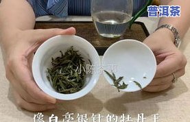 白茶是新茶好还是老茶好茶叶怎么储存，白茶：新茶与老茶的比较，以及正确的茶叶储存方法