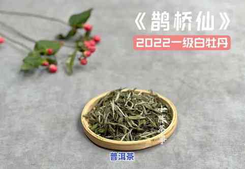 白茶是新茶好还是老茶好茶叶怎么储存，白茶：新茶与老茶的比较，以及正确的茶叶储存方法