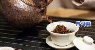 普洱茶兑什么喝更好呢，普洱茶的更佳搭档：探索更佳冲泡方法与口感调配