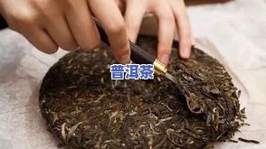 云南凤庆特级红茶，【2023春茶预售】云南凤庆高山特级红茶，原产地直发，条索紧细显金毫，耐泡度高，回甘生津，香气纯正！