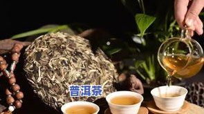 普洱茶的数字含义是什么？怎样读出其数字表示法？