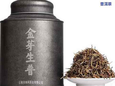 老树普洱茶怎样泡制更佳口感？