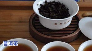 小孩可以喝普洱茶熟茶吗？探讨儿童适宜饮用的疑问