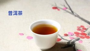 晴天在山里采普洱茶的视频-晴天在山里采普洱茶的视频大全