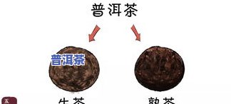 2008年老班章价格，回顾历史：2008年老班章普洱茶的价格是多少？