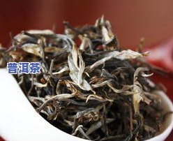 98年普洱熟茶价格全览：详细价格表及市场行情