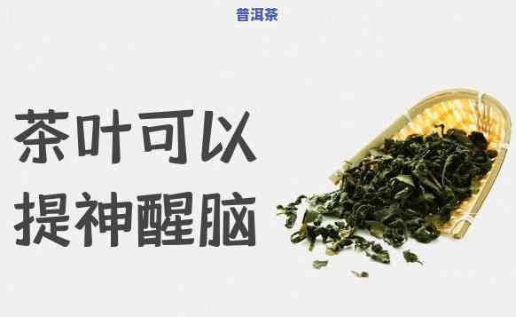 云南七子饼普洱茶可以煮吗-云南七子饼普洱茶可以煮吗