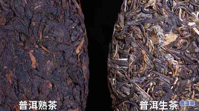 普洱古树茶是红茶还是绿茶，普洱古树茶：它是红茶还是绿茶？