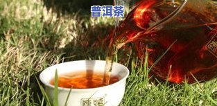 代理普洱茶哪个好，推荐：口碑更佳的代理普洱茶