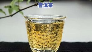 代理普洱茶哪个好，推荐：口碑更佳的代理普洱茶