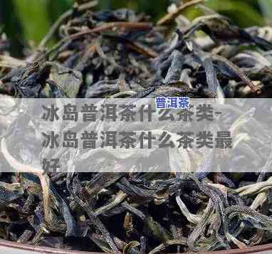 冰岛熟茶是什么茶，揭秘冰岛熟茶：它到底属于哪一类茶叶？