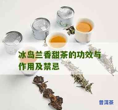 冰岛甜茶介绍，探索冰岛的特别风味：深入熟悉冰岛甜茶