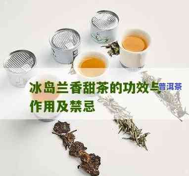 冰岛甜茶哪个好-冰岛甜茶哪个好喝