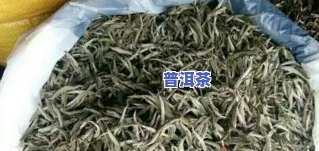 云南冰岛茶叶多少钱一斤，云南冰岛茶叶市场价格一览，每斤售价多少？