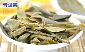 冰岛古树茶多少钱一饼？饼茶、一斤价全知道！