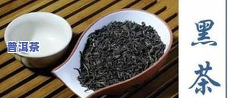 普洱茶是云雾茶吗？还是白茶？探讨其种类归属