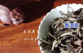 普洱茶是云雾茶吗？还是白茶？探讨其种类归属