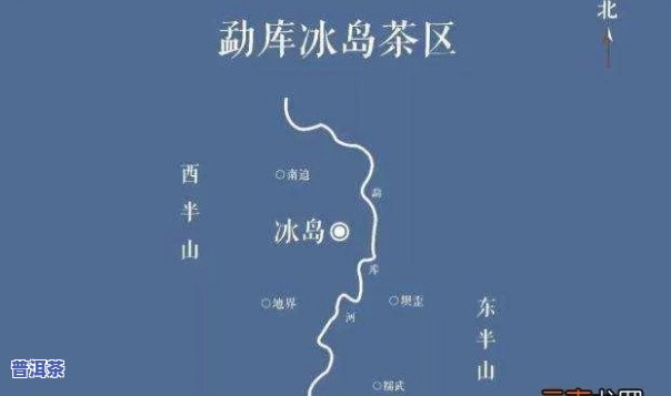 冰岛茶哪个品种更好看？探讨其外观特征与图片展示