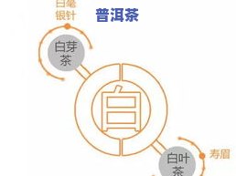 茶叶的竞争产品分析-茶叶的竞争产品分析怎么写