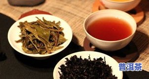 带印的普洱茶-带印的普洱茶是什么茶