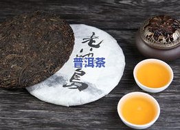 凰凤牌普洱茶-凤凰普洱茶怎么样