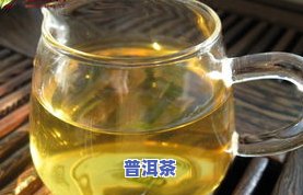 冰岛古树茶2008年价格是多少？