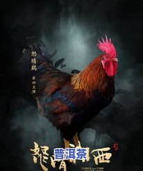 黑凤头鸡图片，美丽绝伦：欣赏黑凤头鸡的特别风采！