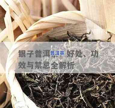 银子普洱茶的好处与功效：你该知道的所有信息