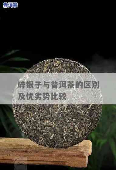 银子普洱茶真的能防脱发吗？探究其功效与科学依据