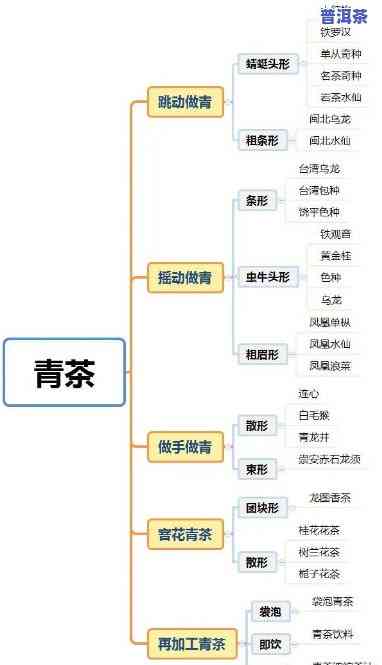 茶叶总共有多少种？探究茶叶的分类与品种数量