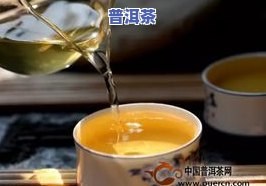 普洱茶的误区，揭示普洱茶的五大常见误区，你中招了吗？