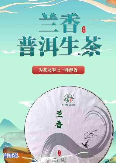 兰香普洱茶兰香贵气价格，品味贵气：兰香普洱茶的兰香与价值