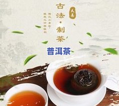 白普洱茶：种类、功效及作用全解析