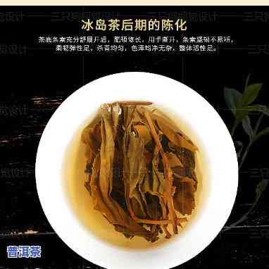 冰岛茶品种介绍视频教程：从入门到精通