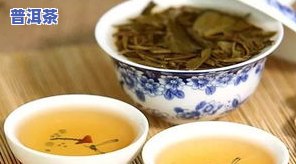 冰岛古树茶：哪里的味道最纯正？