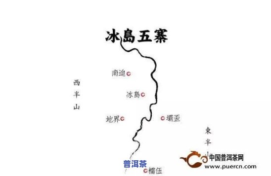 什么茶会冒充冰岛茶叶，揭秘：什么茶会冒充冰岛茶叶？