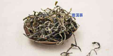 冰岛龙珠茶保存多久-冰岛龙珠茶保存多久可以喝