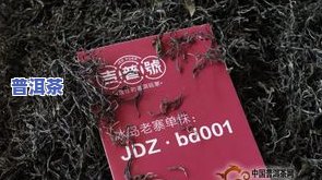 双江冰岛老寨茶叶：招聘与联系方法