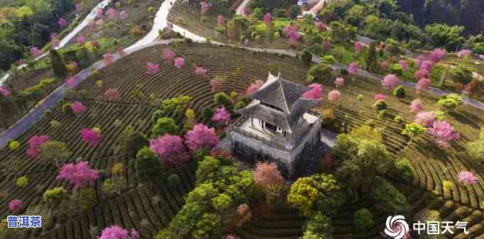 普洱茶花园，探索云南美景：普洱茶花园的四季风情