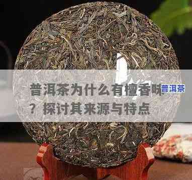 普洱茶檀香味，探索普洱茶的神秘香气：揭秘檀香味的秘密