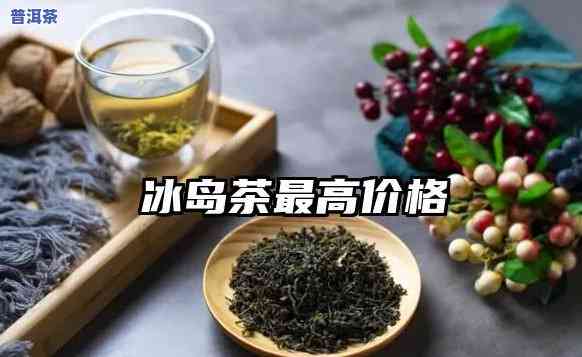 冰岛茶最贵多少钱一斤？最新市场价格揭晓！