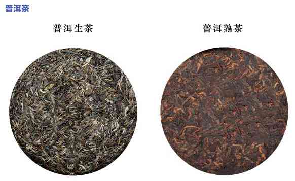 普洱茶饼的种类与类型：详解不同类型的普洱茶饼