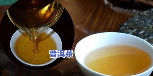 正宗冰岛茶价格多少-正宗冰岛茶价格多少钱