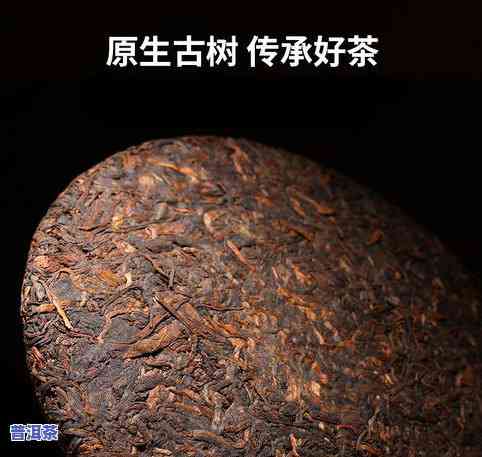 勐海普洱茶饼，品味云南风情：探索勐海普洱茶饼的世界