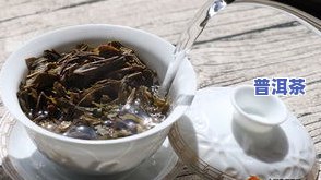 水溶性普洱茶-水溶性普洱茶有哪些