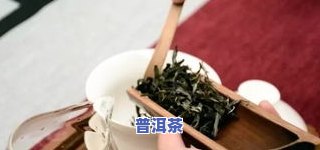 正宗冰岛茶推荐语，探索冰岛茶的魅力：推荐几款正宗冰岛茶叶