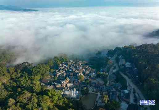 大云景区，探秘西南：大云景区的壮丽风光与特别文化