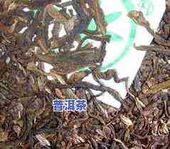 冰岛精致茶厂老树茶价格表全览