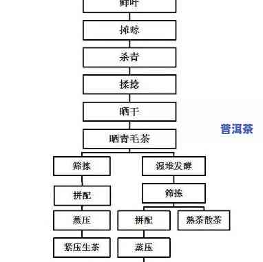 普洱茶的春茶：与秋茶的区别及春制工艺探析