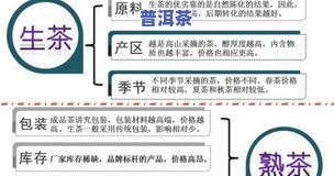 喝普洱茶的利与弊：全面解析其优缺点